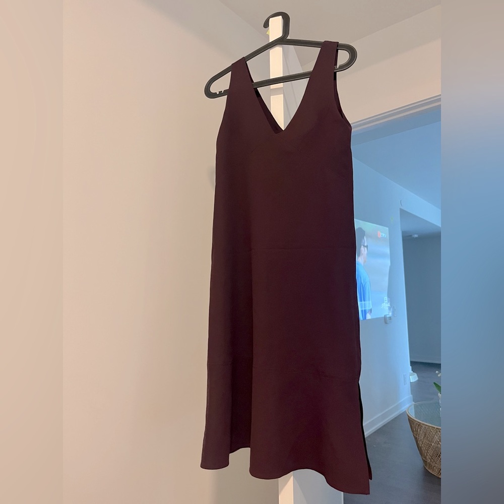 Aritzia Babaton Pacey dress